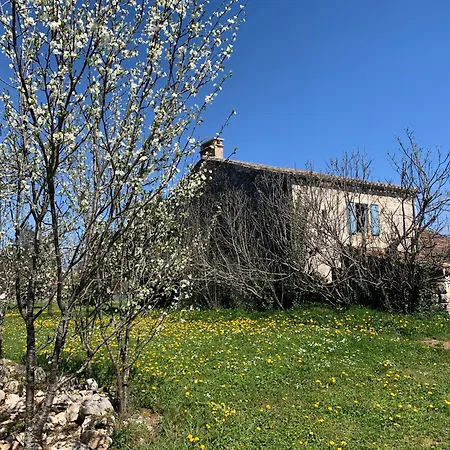 Gite De Charme Champetre Laburgade Exterior photo